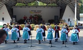 Dożynki_2016_10