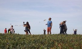 Święto_Latawca_2016_6