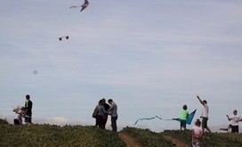 Święto_Latawca_2016_4