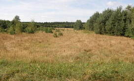klempicz 7.JPG