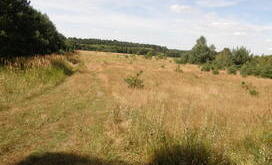 klempicz 6.JPG