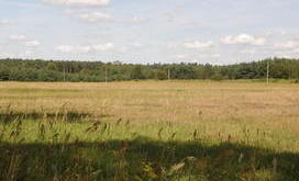 klempicz 5.JPG