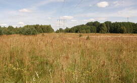 klempicz 1.JPG
