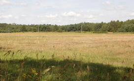 kempicz 4.JPG