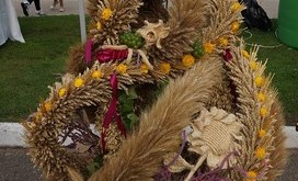 Dożynki Gminne_2017_7