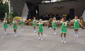 Dożynki Gminne_2017_44