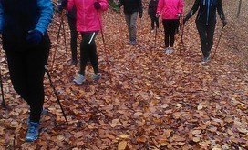 P_20171111_111536-Resizer-800S