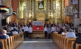 Święto_niepodległości_2017_35