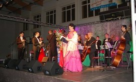 Koncert_wiede