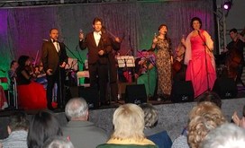 Koncert_wiede