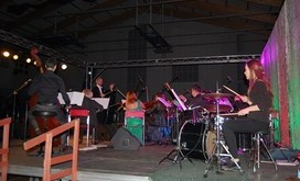 Koncert_wiede