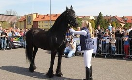 Agrotargi 2018_19