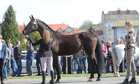 Agrotargi 2018_16