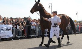 Agrotargi 2018_11