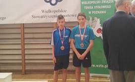 Tenis stołowy 20184