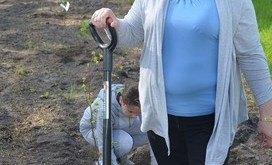 sadzenie_drzew_Pod_Lipami_022