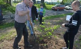 sadzenie_drzew_Pod_Lipami_014