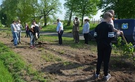 sadzenie_drzew_Pod_Lipami_013