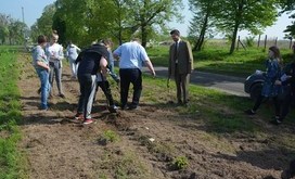 sadzenie_drzew_Pod_Lipami_012