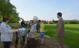 sadzenie_drzew_Pod_Lipami_010