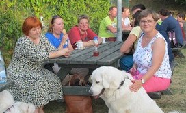 spotkanie_owczarek_podhalanski_4
