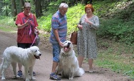 spotkanie_owczarek_podhalanski_2