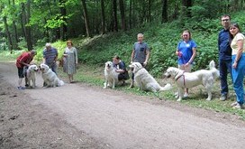 spotkanie_owczarek_podhalanski_1