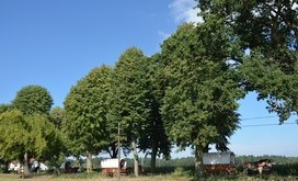 TITANEN_ON_TOUR_2018_7