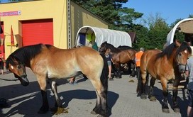 TITANEN_ON_TOUR_2018_42