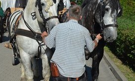 TITANEN_ON_TOUR_2018_36