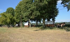 TITANEN_ON_TOUR_2018_3
