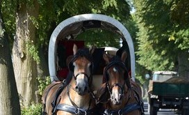TITANEN_ON_TOUR_2018_22