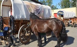 TITANEN_ON_TOUR_2018_21