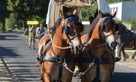 TITANEN_ON_TOUR_2018_20