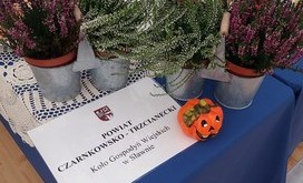 KOŁO GOSPODYŃ WIEJSKICH Z NAGRODĄ12
