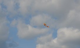 Święto_w_Sokołowie_2018_197