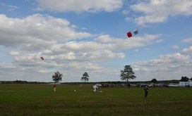 Święto_w_Sokołowie_2018_191