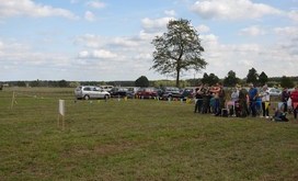 Święto_w_Sokołowie_2018_154