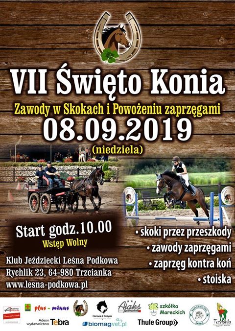Święto konia w Rychliku